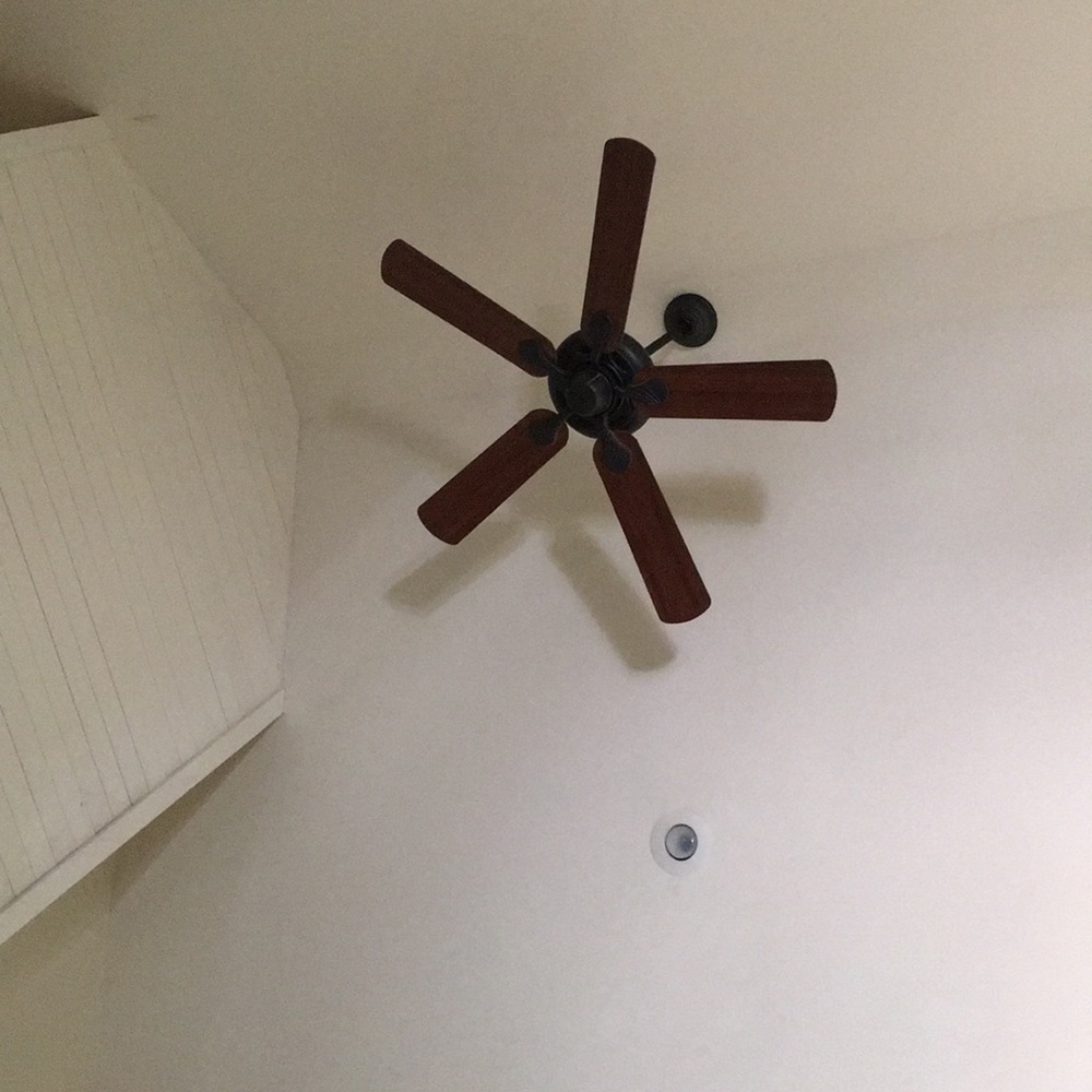 Meet your Posher, Colby